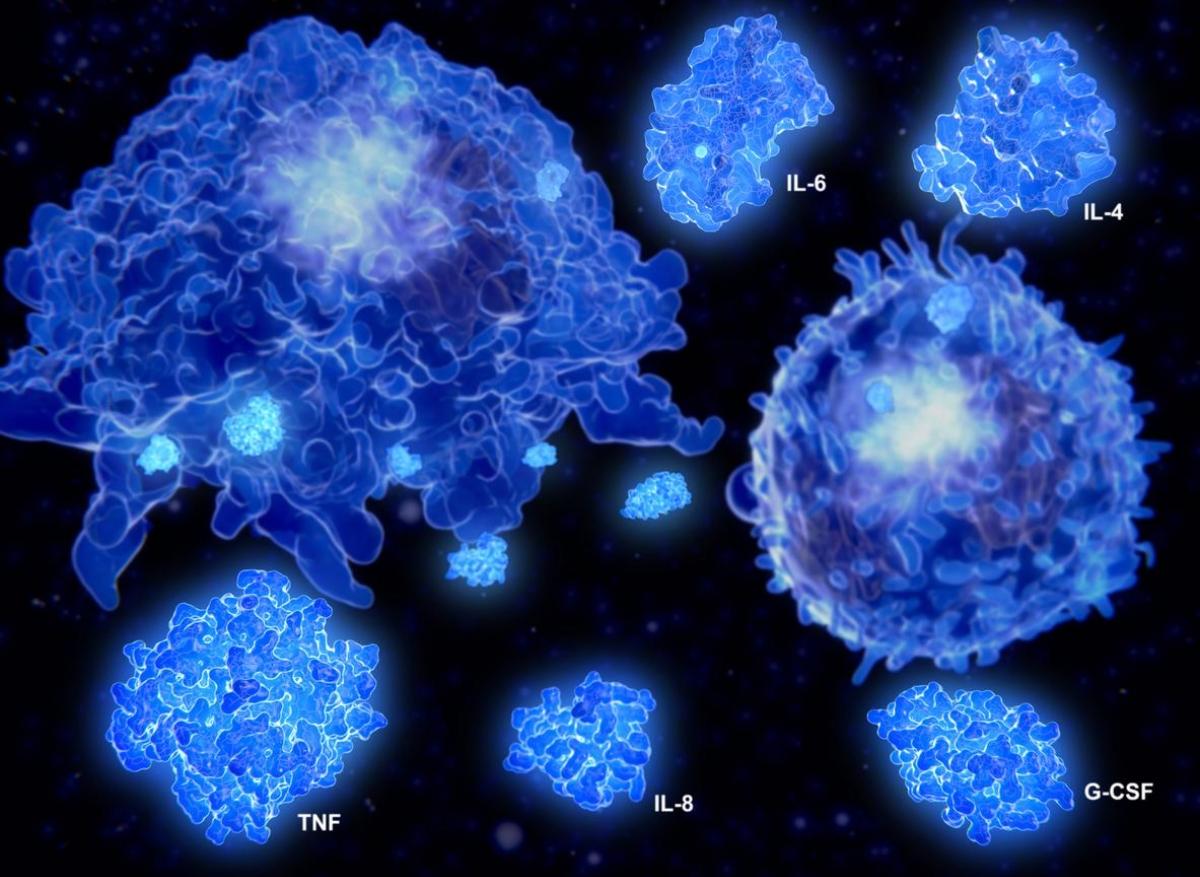 Covid-19 : l’orage cytokinique ne serait pas systématique