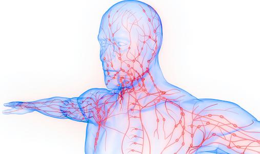 Lymphome du manteau : l'ibrutinib en 2ème ligne lors de la rechute 