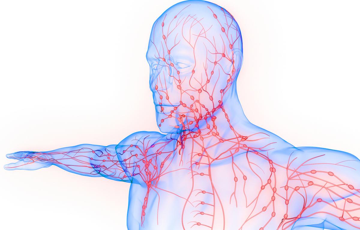 Lymphome diffus à grandes cellules B : intérêt d’un anticorps conjugué en 1ère ligne