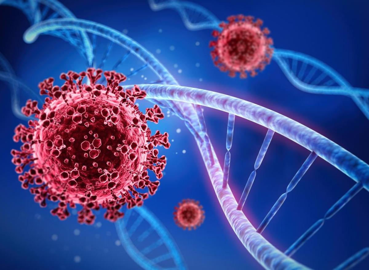 Covid-19 : le SARS-CoV-2 circulera-t-il sur notre planète pour toujours ?