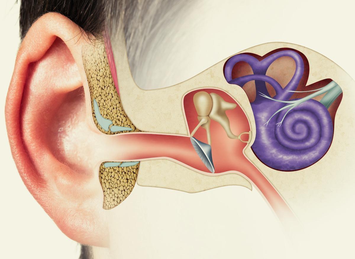 Covid-19 : des atteintes de l'oreille interne mieux connues