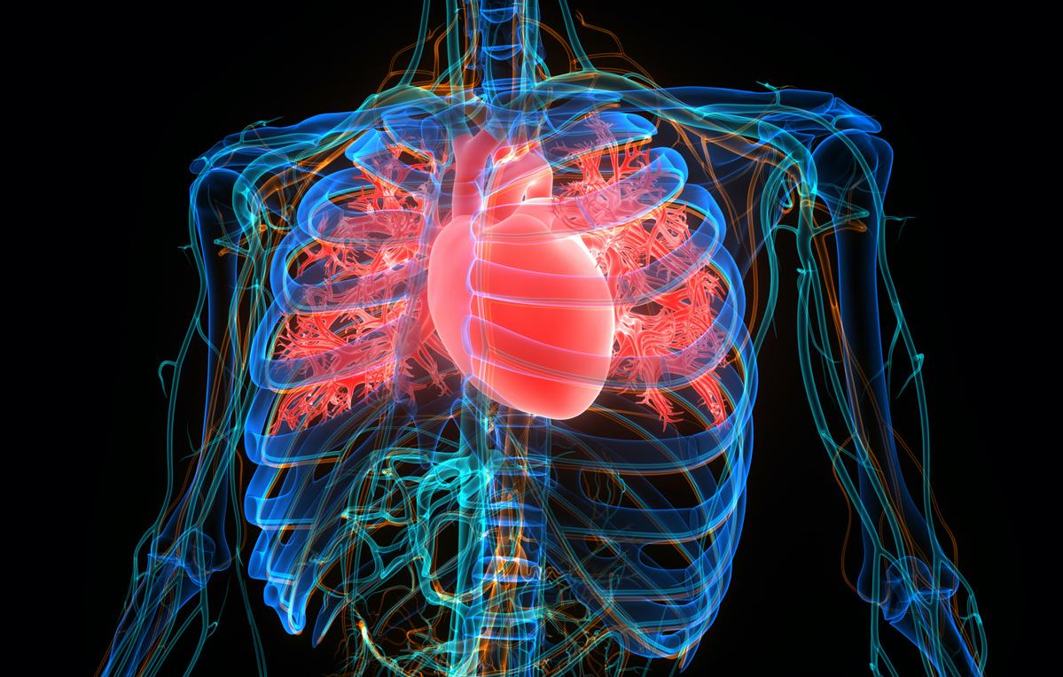 Anticoagulation dans la FA : ce qui disent les recommandations européennes 