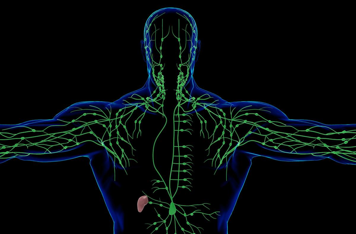 Tumeurs thymiques : intérêt de l’immunothérapie en cas de progression après 1ère ligne 