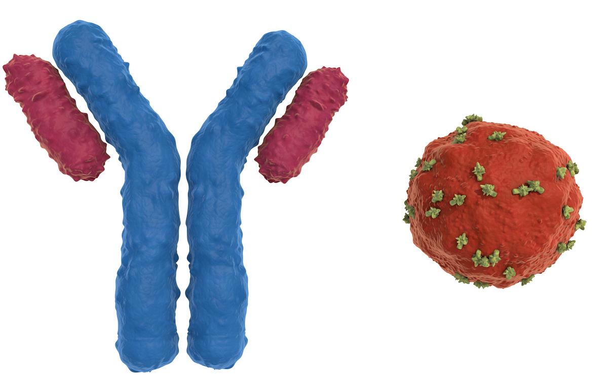 Covid long : 4 facteurs biologiques précoces associés à son apparition