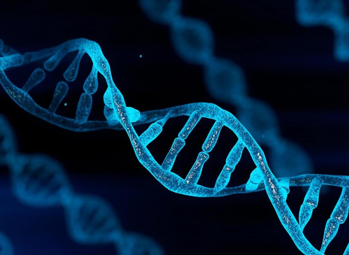 Iatrogénie : un passeport ADN pour réduire les effets indésirables
