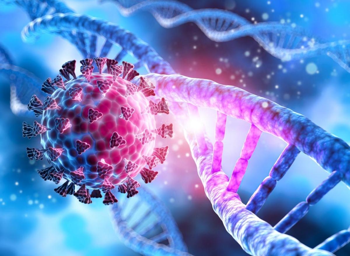 Génétique : notre ADN s'est enrichi de séquences des virus chez nos ancêtres 