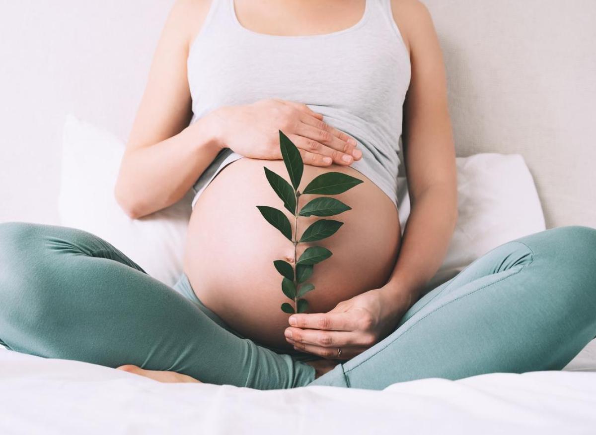 Grossesse : le cannabis nuit au développement du fœtus 
