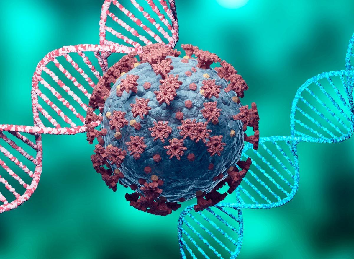 Covid-19 et variants : le SARS-CoV-2 a-t-il déjà atteint ses limites ? 