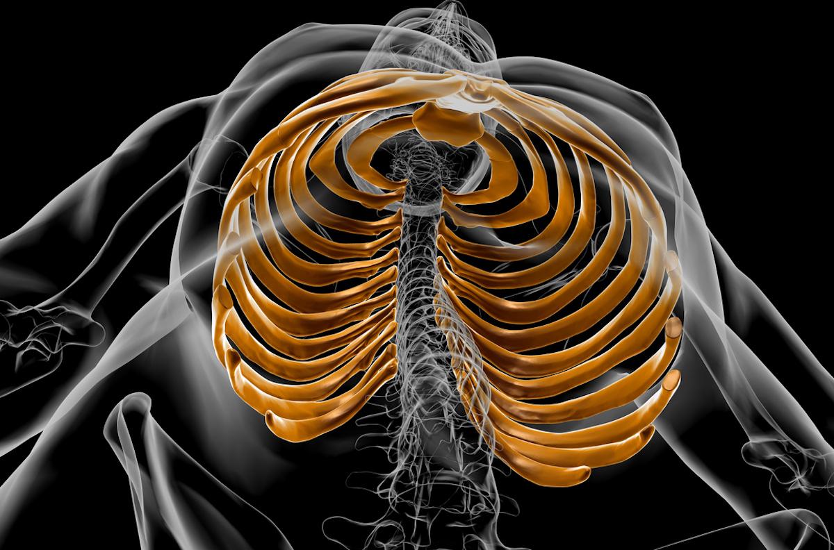 Lombalgie haute et latéralisée : penser au syndrome de la 12ème côte 