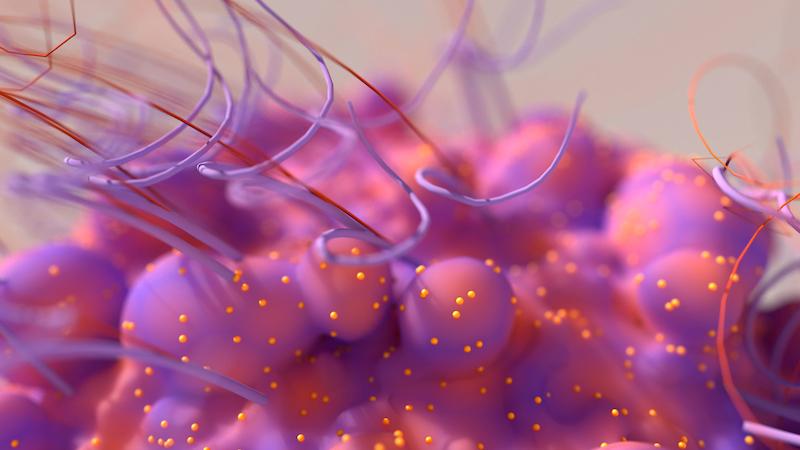 Mélanome métastatique : des nomogrammes pour mieux prédire la réponse au traitement 