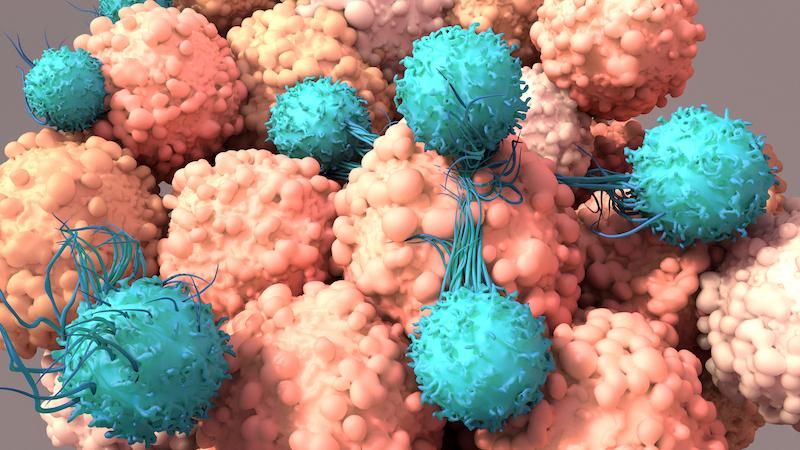 Adénocarcinomes oeso-gastriques HER2+: l’arrivée de l’immunothérapie 