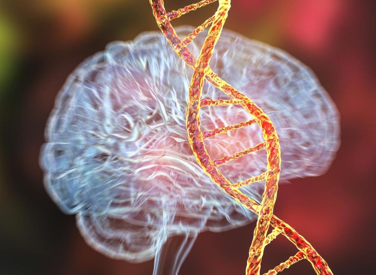 Alzheimer : une mutation génétique rare protègerait contre le déclin cognitif