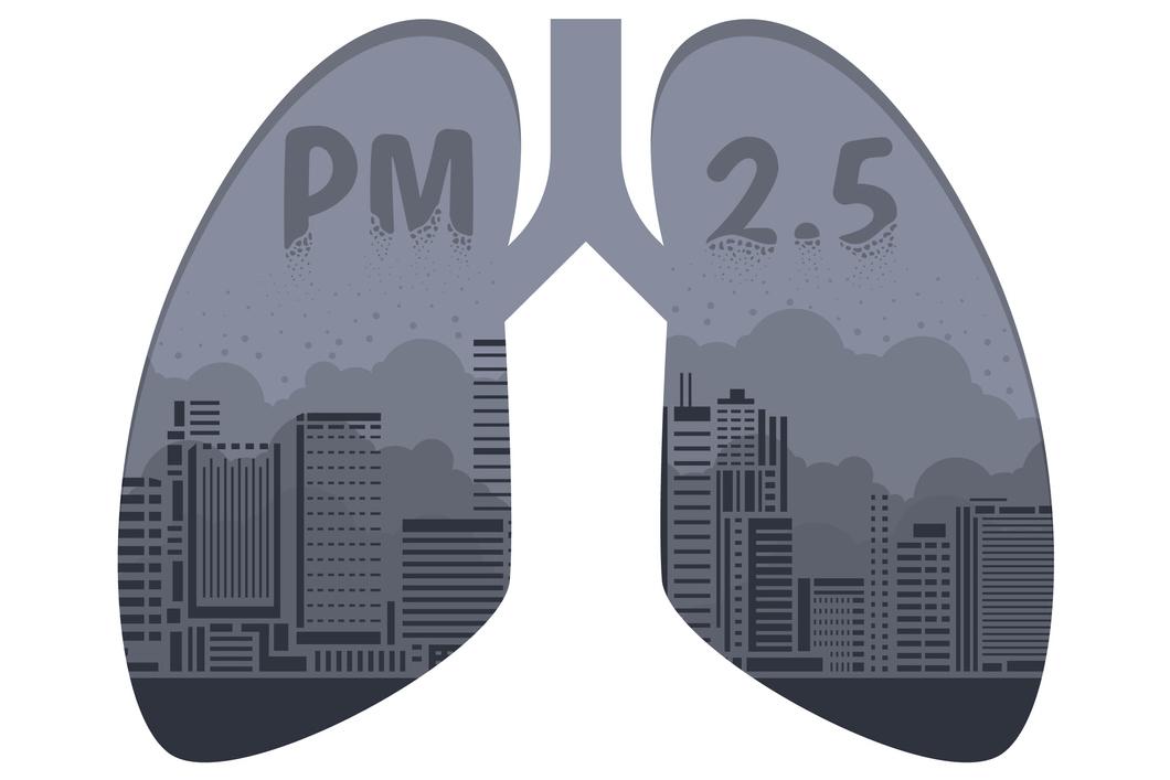 CBNPC : la pollution de l’air comme facteur de risque ?