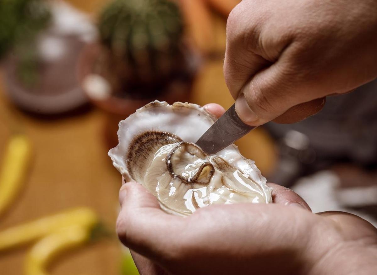 Huîtres d’Arcachon : un norovirus fait interdire les coquillages à la vente