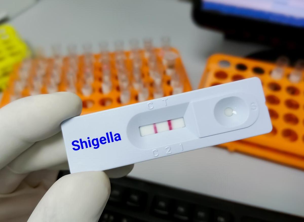 Shigelloses : de plus en plus résistantes selon l’institut pasteur 