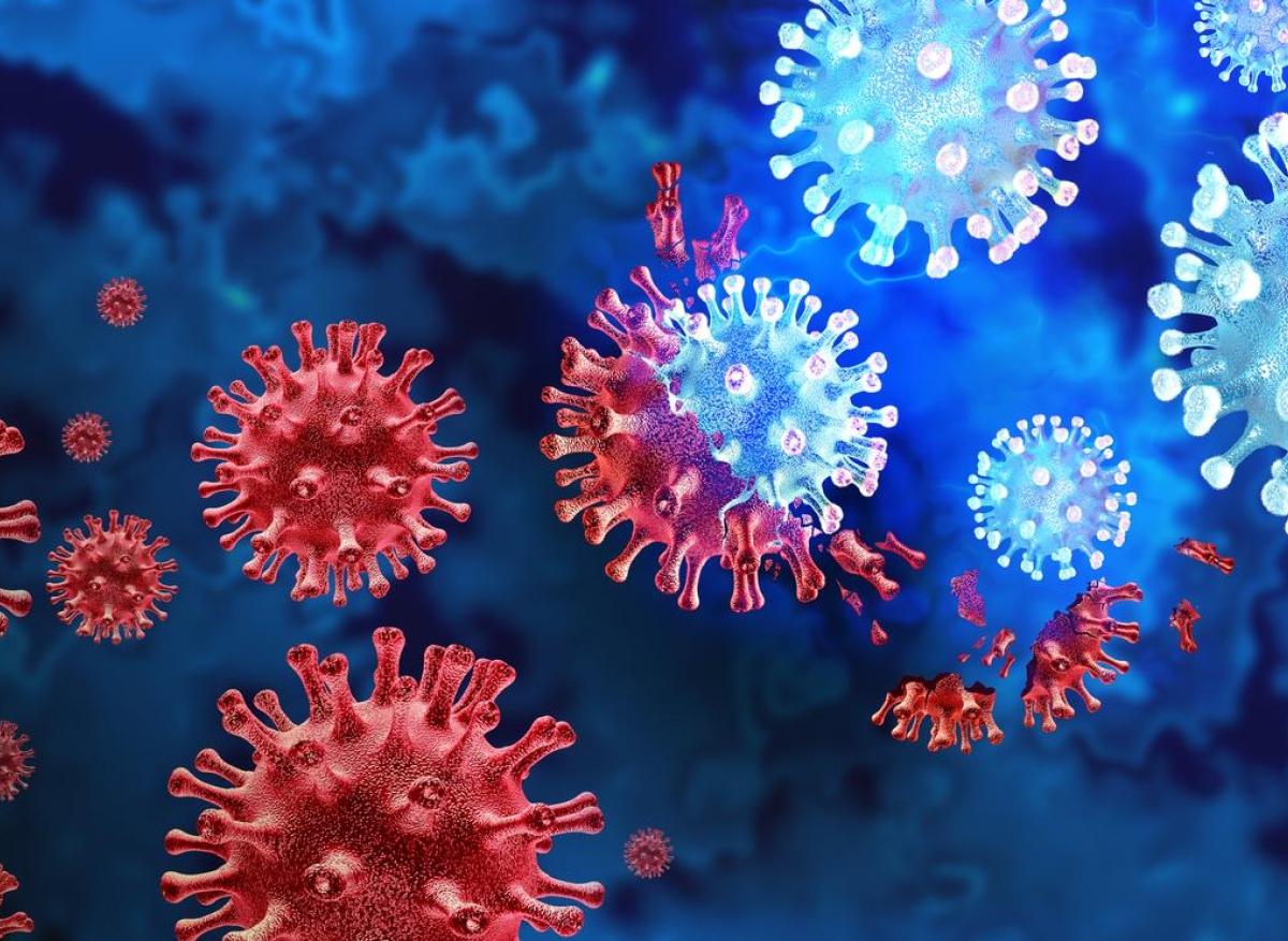 Covid-19 : l'immunité contre les variants dépend des infections précédentes