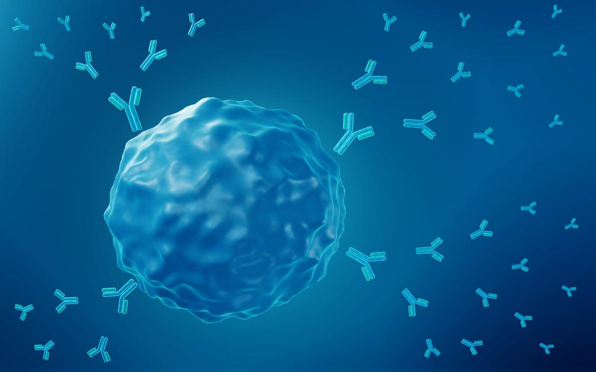 Hémopathies lymphoïdes B : profil de tolérance cardiovasculaire du zanubrutinib