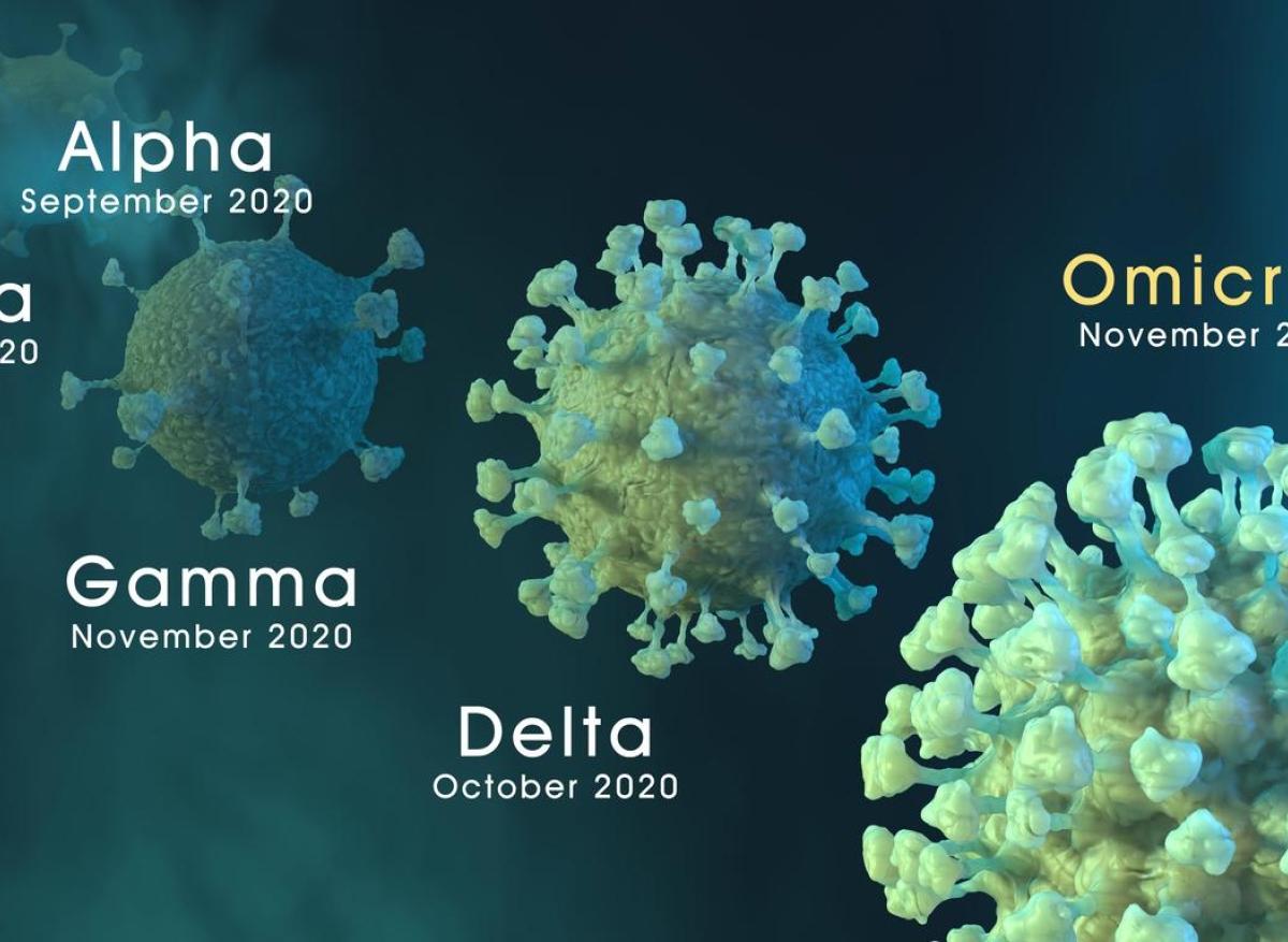 Covid-19 : le variant Omicron serait aussi une zoonose