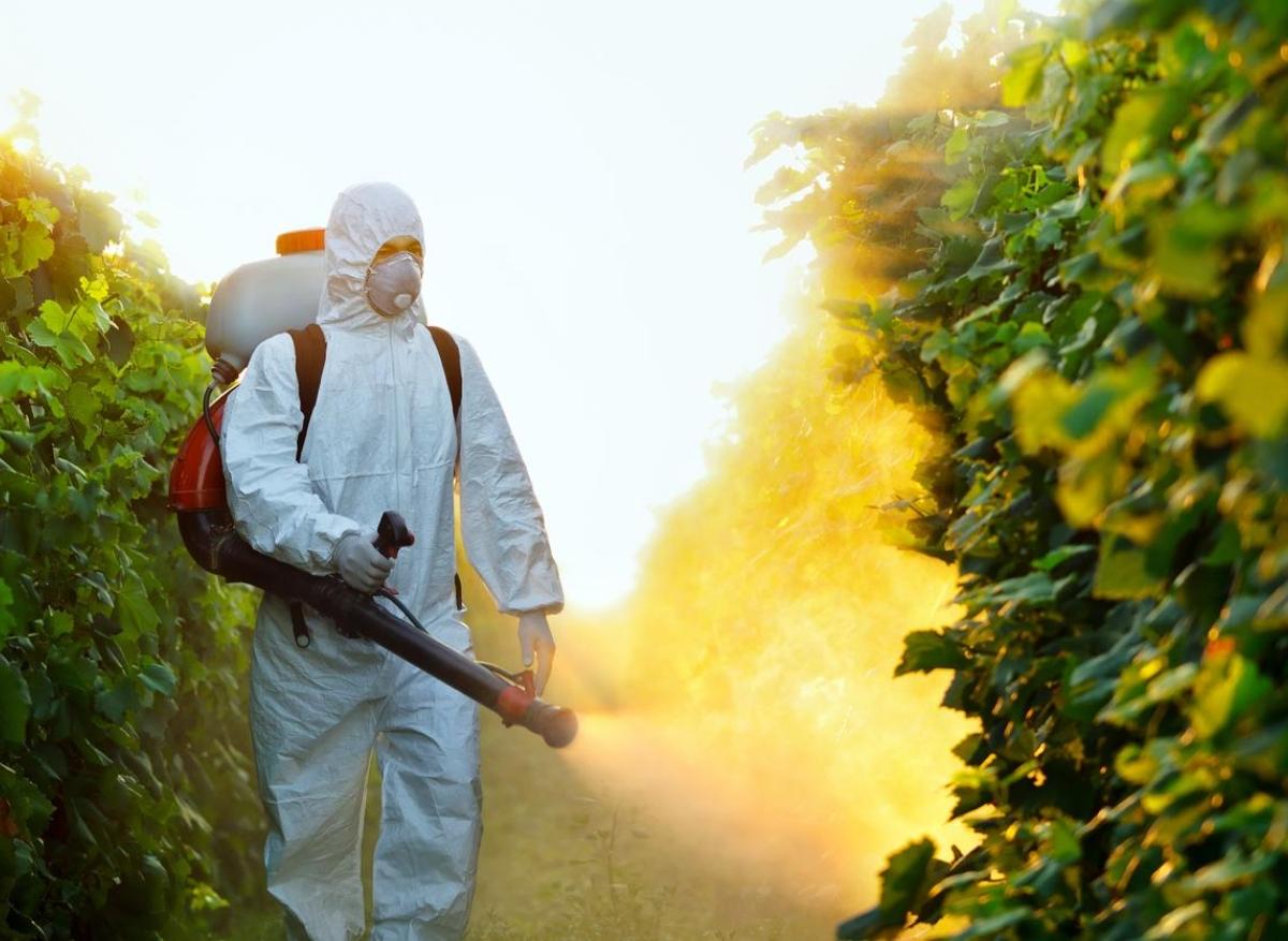 Démence : quel impact pour les toxines environnementales ?