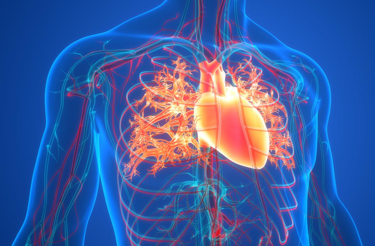 Cardiogériatrie : quoi de neuf en 2022 pour la prise en charge de l'HTA et de la FA ?