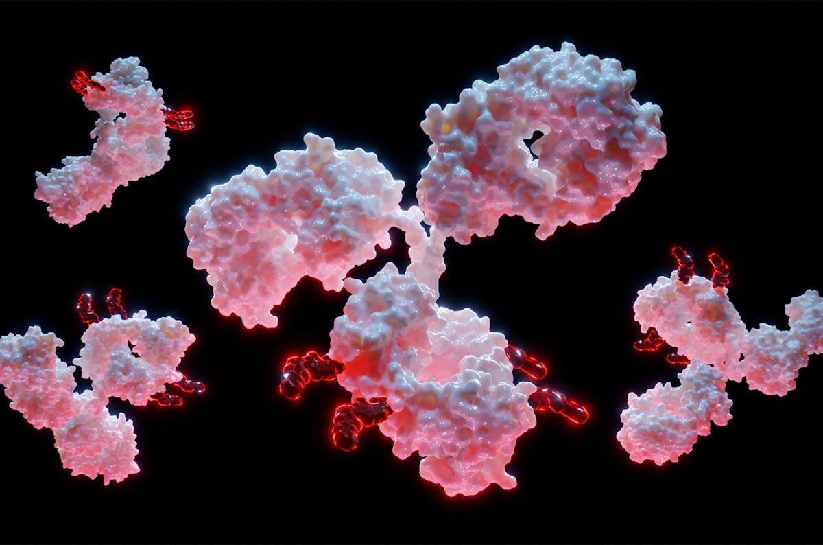 Cancer de vessie avancé : nouveau standard associant anticorps conjugué et immunothérapie