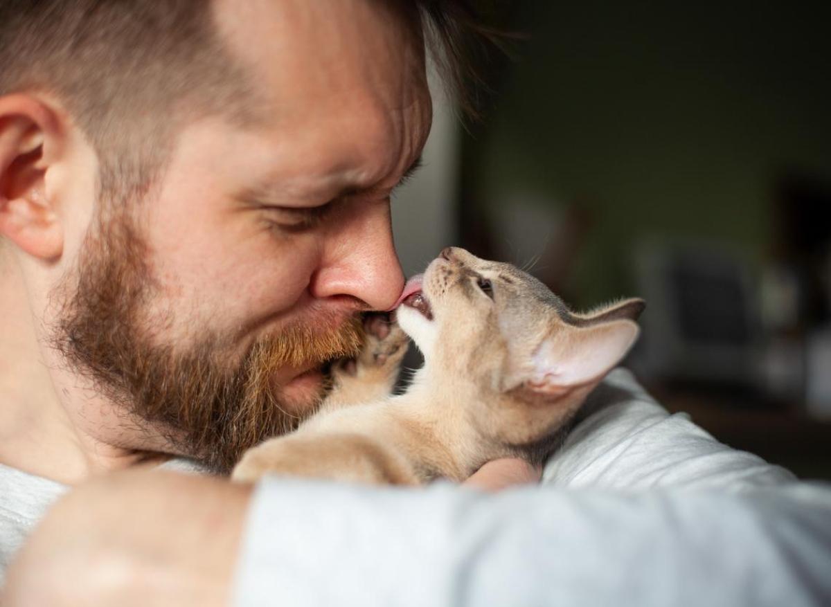 Covid-19 et animaux de compagnie : les humains sont les contaminateurs