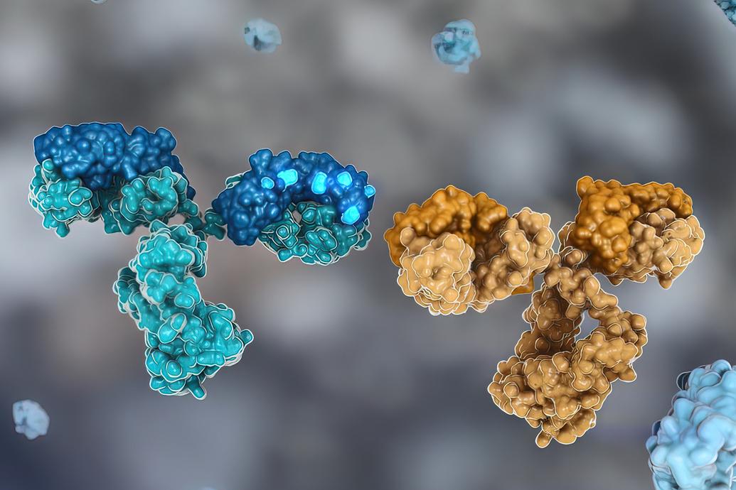 Cancers colorectaux métastatiques MSI : l’immunothérapie, même en 2ème ligne