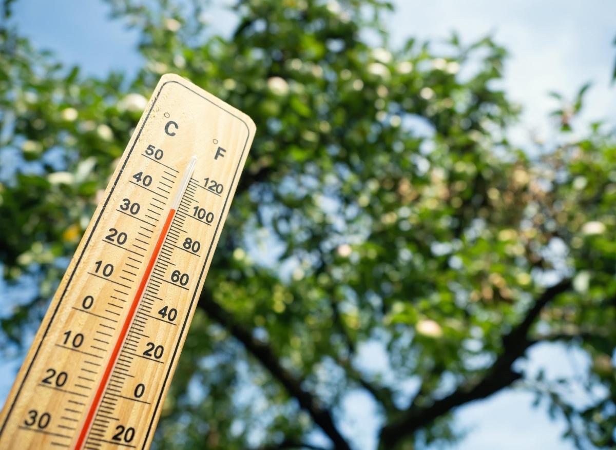 Canicule : près de 60 décès enregistrés en septembre en France