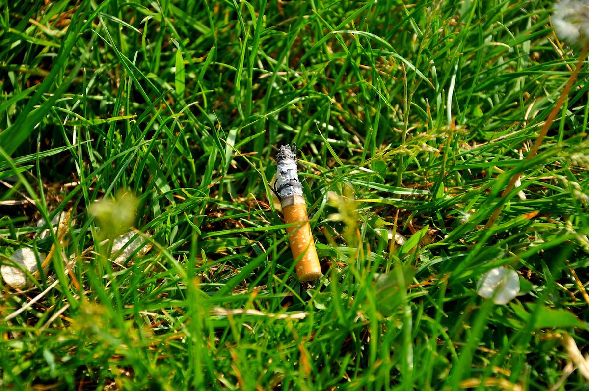 Journée Mondiale sans tabac : l'impact environnemental, une raison de plus d'arrêter