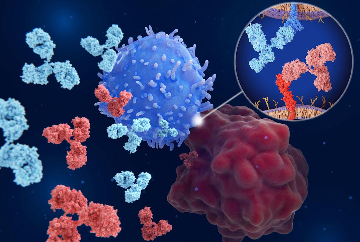 CBNPC : un biomarqueur améliore l’indication de l’immunothérapie