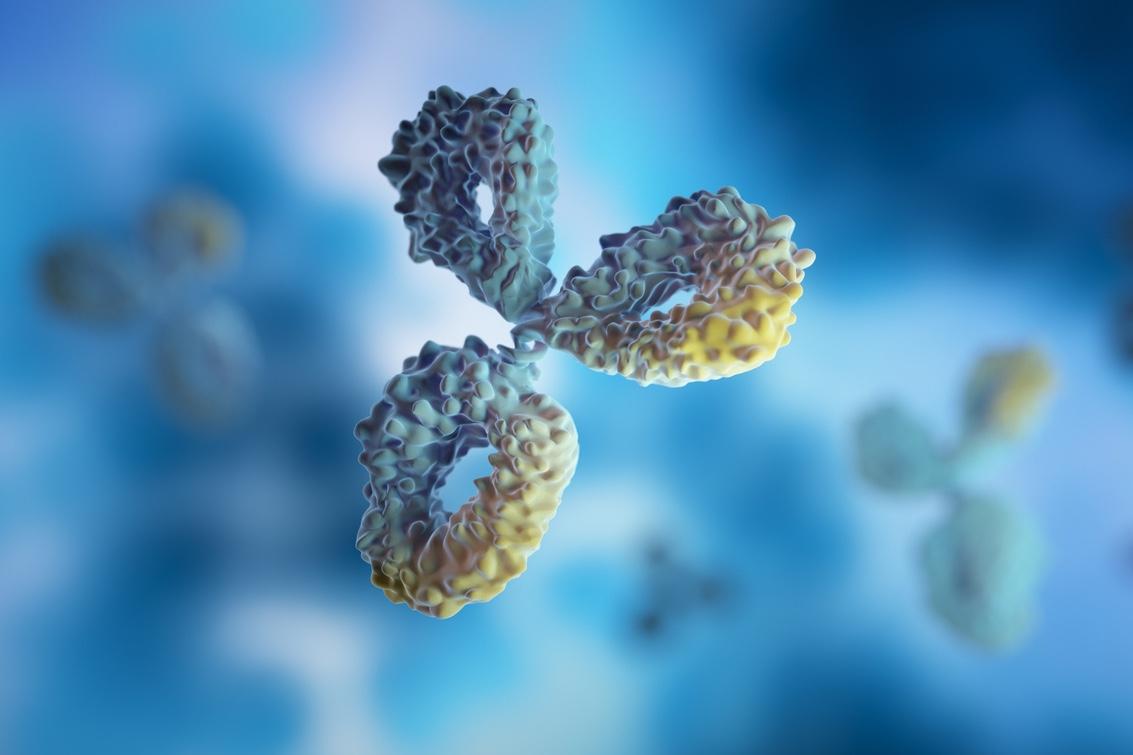 Cancer Bronchique à Petites Cellules (CBPC) : un bisphecific T cell Engager en phase II
