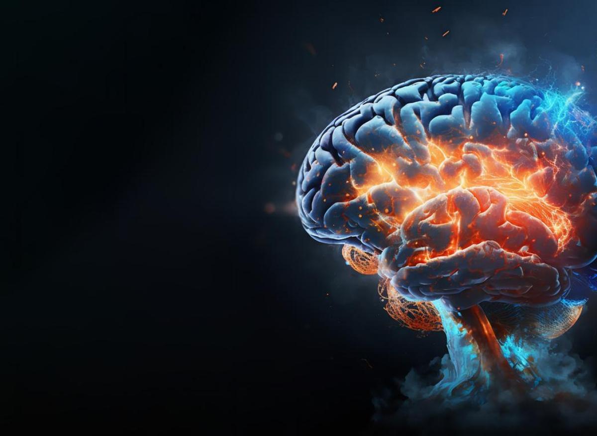 Maladie d’Alzheimer : un traitement pour réparer les synapses ?