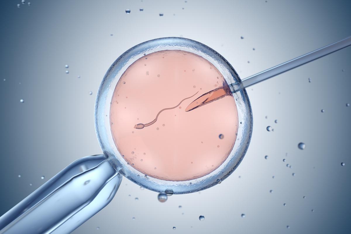 FIV et risques pour la santé des enfants : une synthèse rassurante de l’INSERM