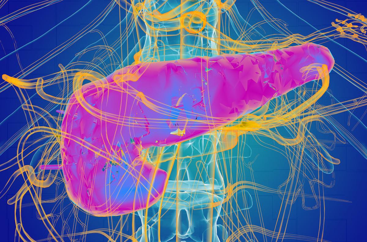 Diabète de type 1 : un inhibiteur de JAK préserve les cellules β pancréatiques productrices d'insuline