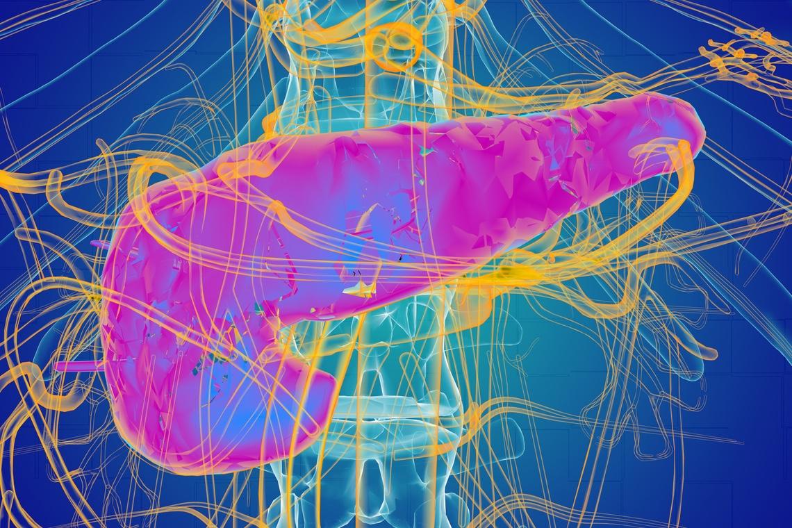 Diabète pancréatique : intérêt de l'ajout d'un inhibiteur de SGLT2