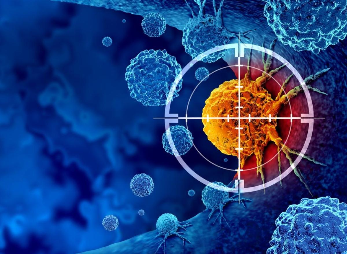 Cancer : une nouvelle thérapie ciblée IgA contre les mutations profondes  