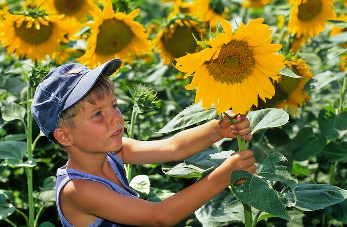 Diabète de type 1 : un impact sur le développement du cerveau chez les enfants