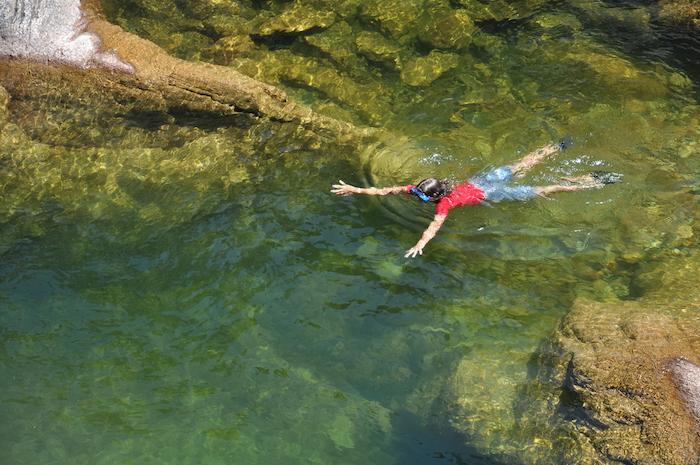 Bilharziose urogénitale: la Corse et ses touristes toujours menacés