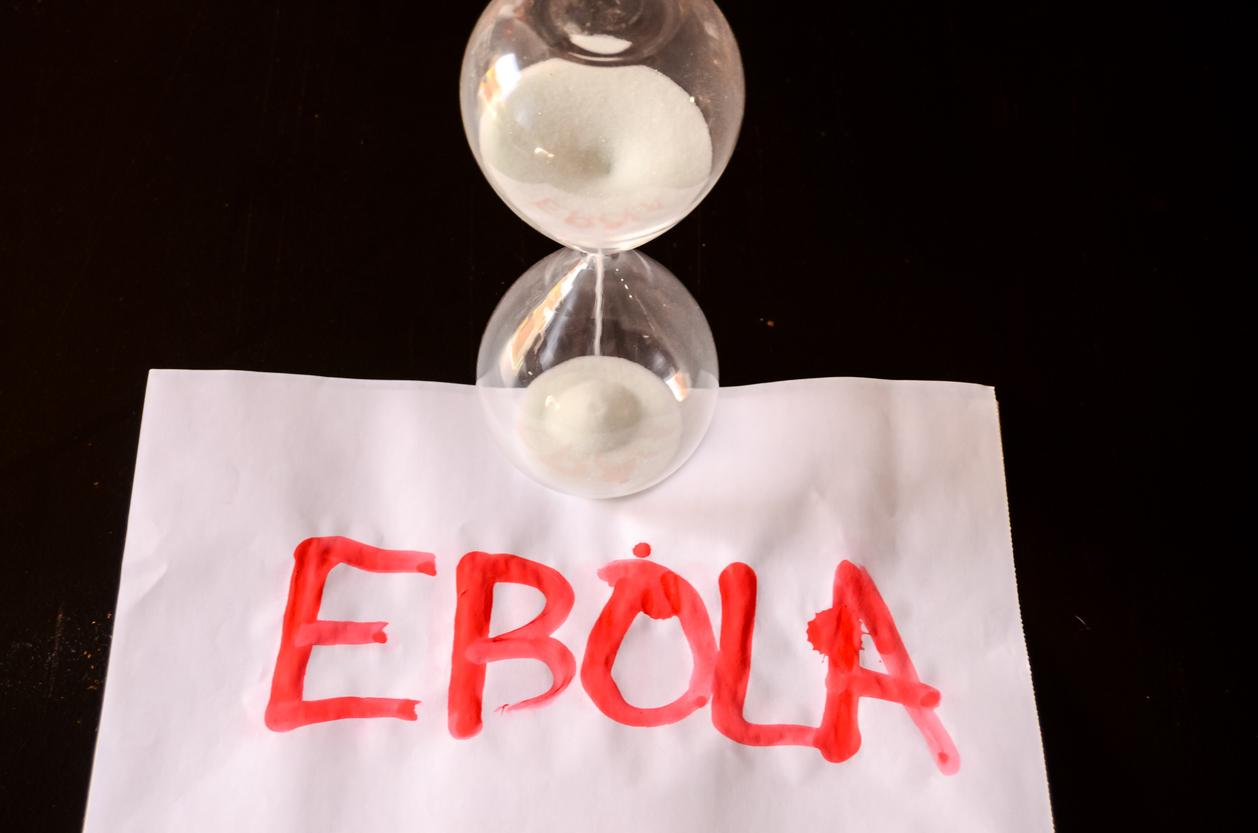 Ebola souche Bundibugyo : une étude Inserm plaide pour le recours aux vaccins existants