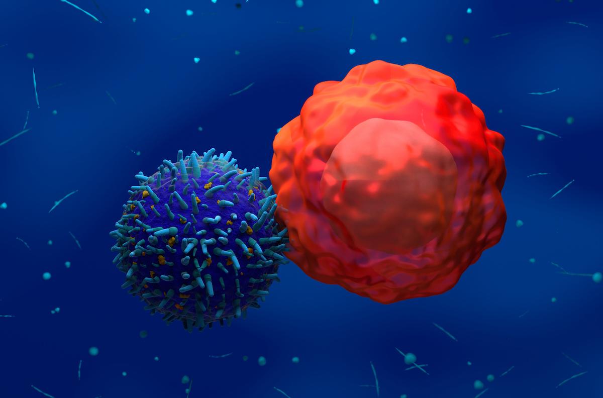 Maladies auto-immunes : la révolution des CAR-T cells est en marche