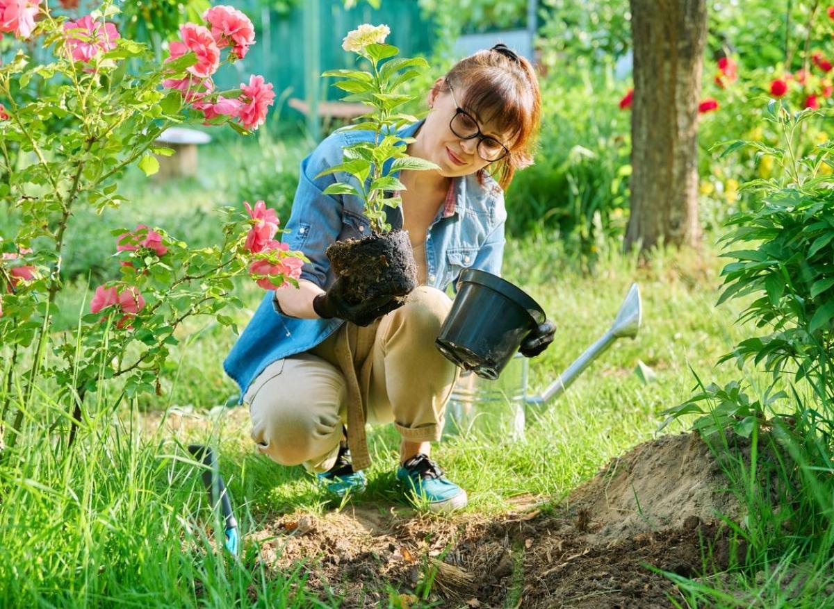 Jardinage, marche : malgré leur faible intensité, ces activités réduiraient la dépression