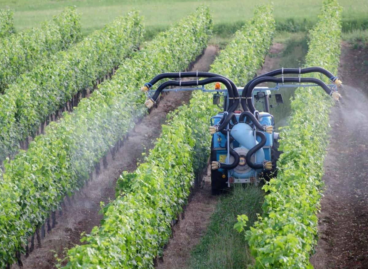 Pesticides : des tumeurs cérébrales reconnues en maladie professionnelle chez des agriculteurs