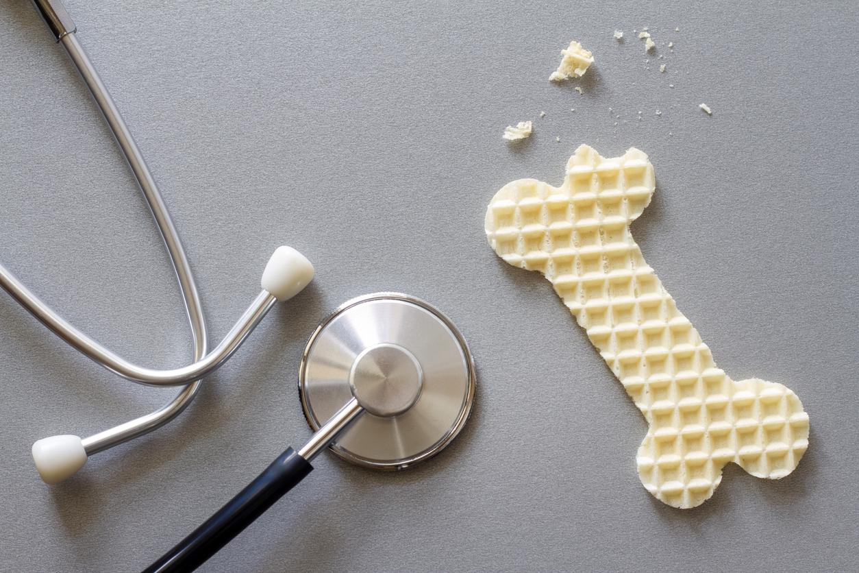 Fibrodysplasie ossifiante progressive : l'espoir du garetosmab, anticorps bloquant l’activine A