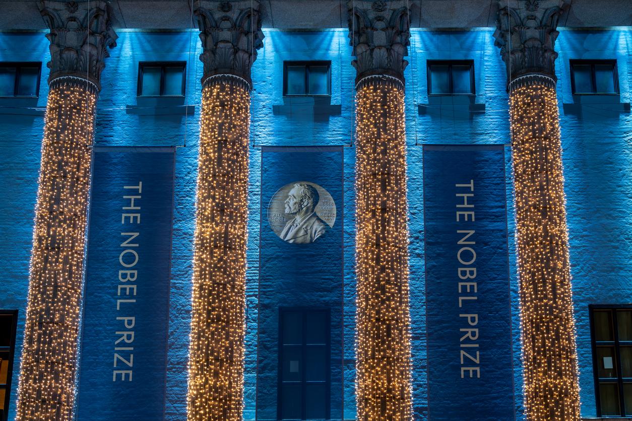 Nobel de médecine 2026 : l'optogénétique, de l'algue au cerveau