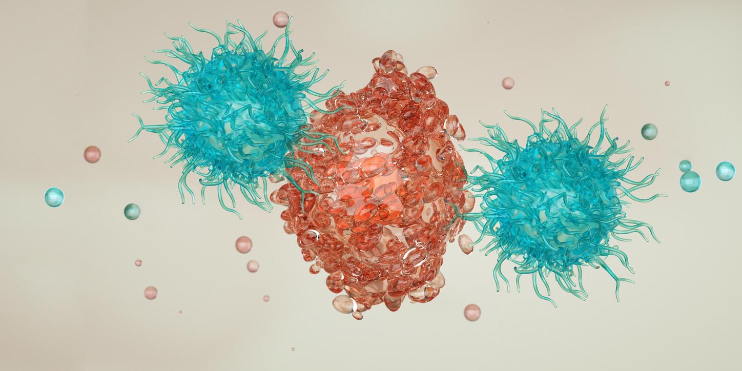 Lymphomes B et CAR-T : des données de suivi à dix ans confirment un potentiel curatif durable