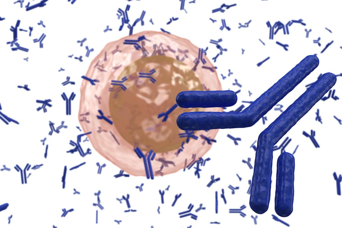 Myélome réfractaire : bénéfice confirmé d’un anticorps bispécifique