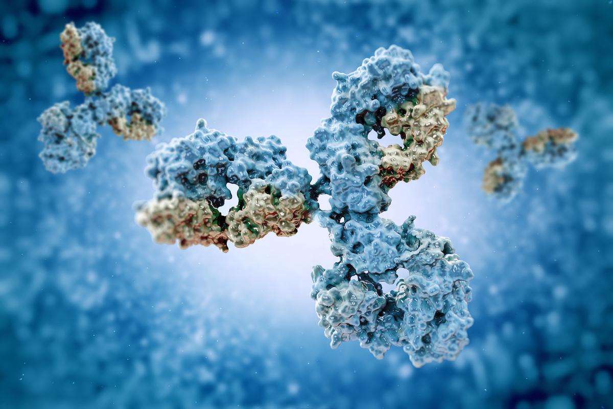 Cancer du sein métastatique HER2 + : le trastuzumab déruxtécan améliore le traitement par anticorps conjugués