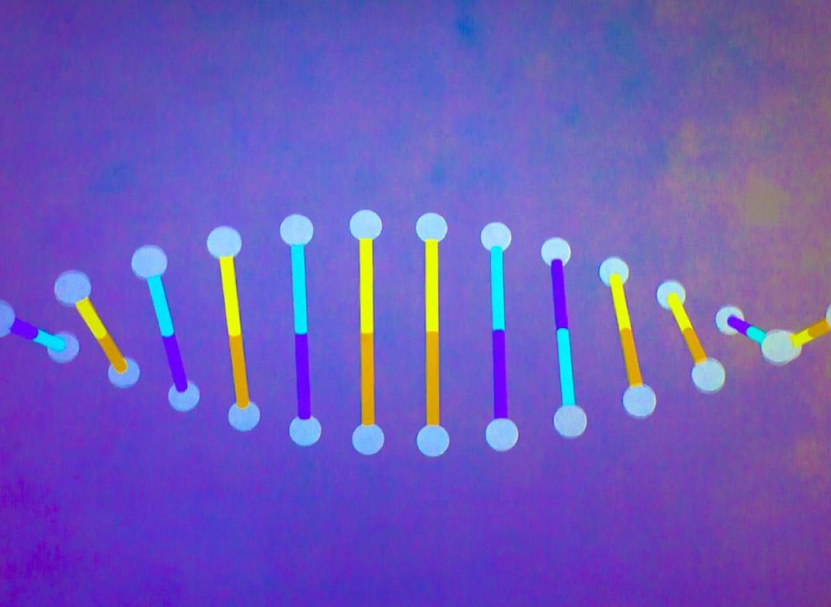 Génome humain : 1er séquençage complet pour mieux comprendre
