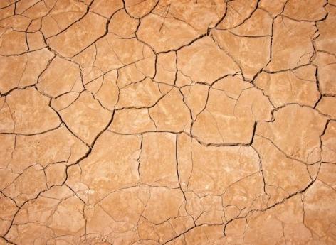 Obésité, dénutrition et changement climatique : des experts dénoncent le lien 