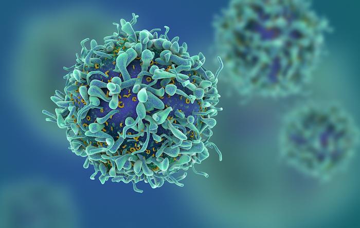 CAR-T cells : meilleure maîtrise de leur toxicité sans perte d’efficacité